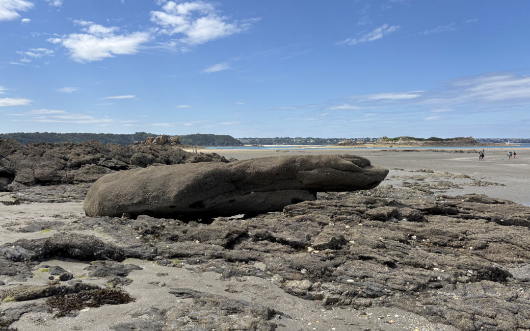 Nos rendez-vous en décembre